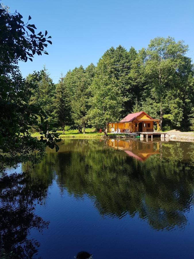 Insolite Chalet de pêche Sérénité - Bien Etre Ban-sur-Meurthe-Clefcy Extérieur photo