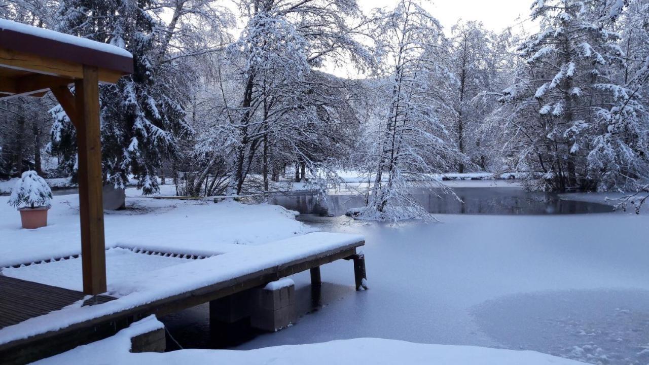 Insolite Chalet de pêche Sérénité - Bien Etre Ban-sur-Meurthe-Clefcy Extérieur photo