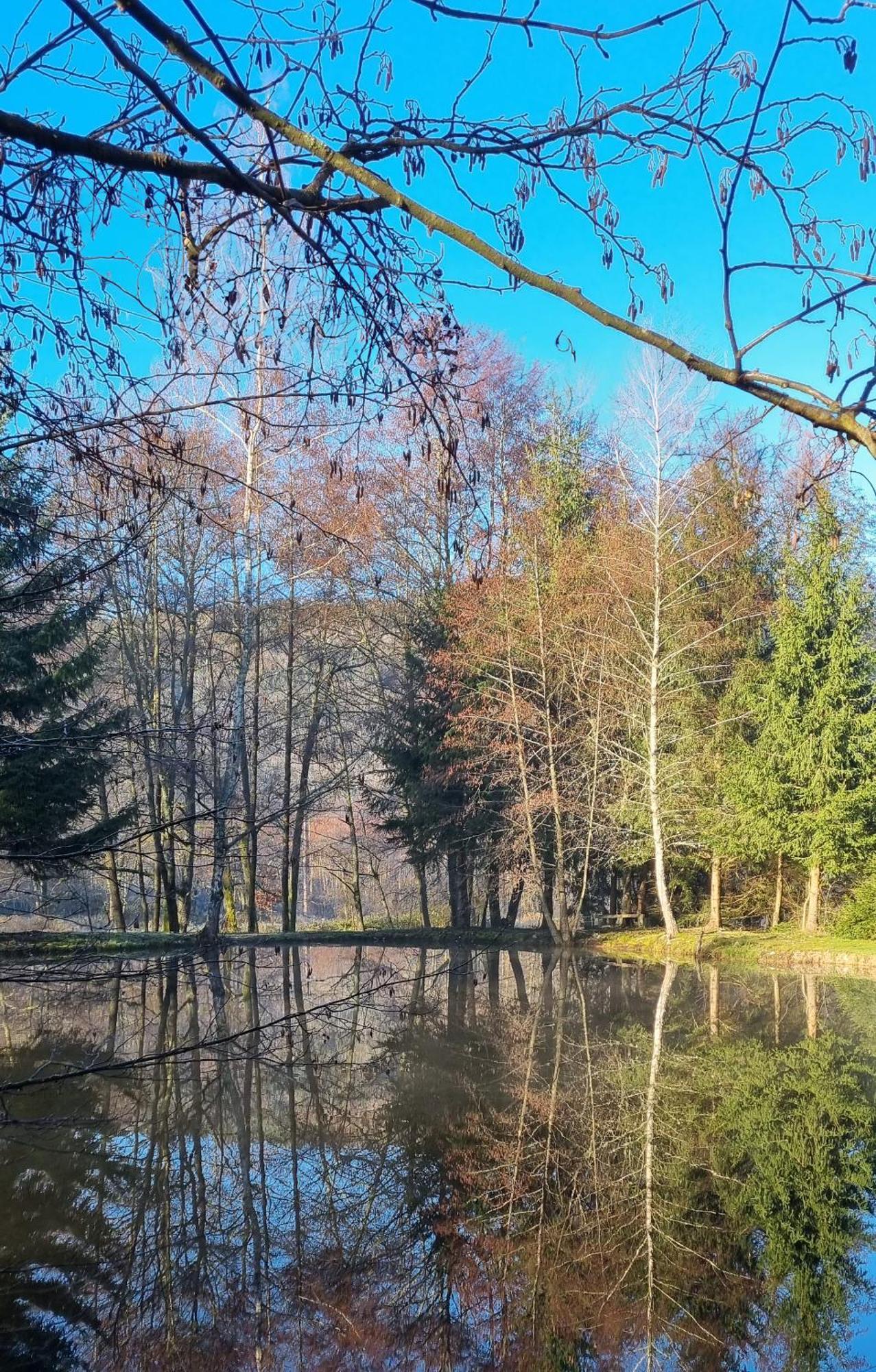 Insolite Chalet de pêche Sérénité - Bien Etre Ban-sur-Meurthe-Clefcy Extérieur photo